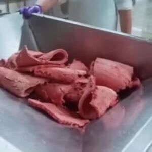 Kad vidite kako nastaju salame i delikatesi SMUČIĆE VAM SE ŽIVOT! Dobro pogledajte ŠTA JEDEMO - zgrozićete se!