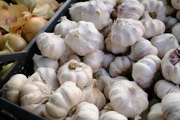 Kako pravilno jesti beli luk za imunitet? Saveti zlata vredi, evo kako nam mogu pomoći prirodni darovi