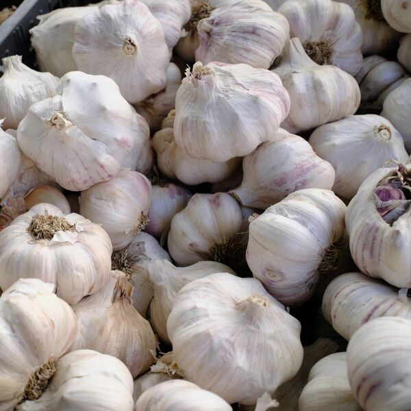 Kako pravilno jesti beli luk za imunitet? Saveti zlata vredi, evo kako nam mogu pomoći prirodni darovi