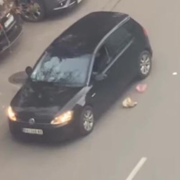 PROSTAKLUK I PRIMITIVIZAM: Pančevac stao kolima nasred puta, a ono što je uradio ZGROZILO je mnoge! (VIDEO)