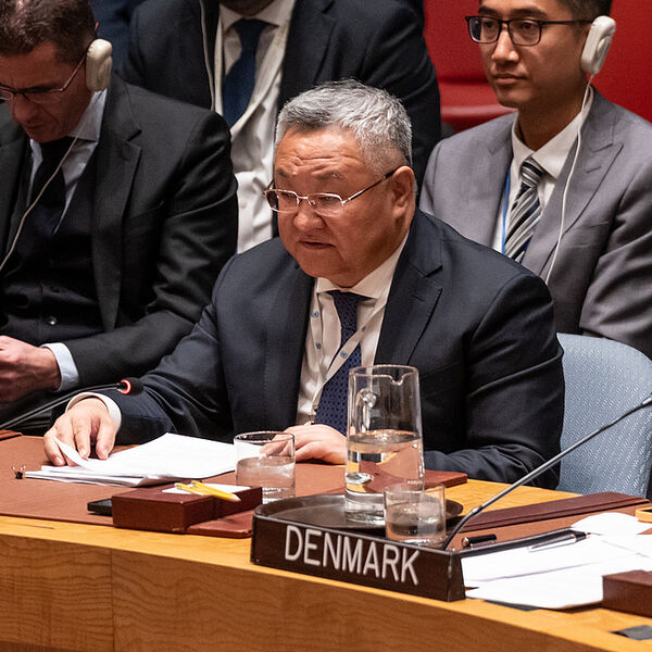 Kina poziva na napore za odbranu posleratnog međunarodnog poretka i ponovo pozvala Japan da povuče pogrešne izjave