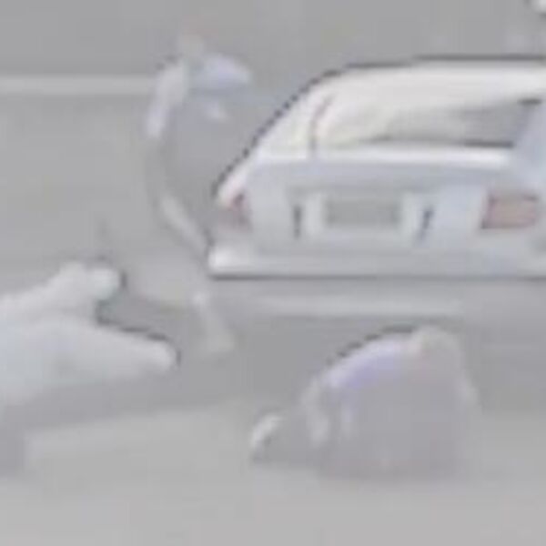 BORIS I SOFIJA SE DO SMRTI BORILI DA SPREČE MASAKR U SIDNEJU: Pojavio se snimak, ON se rvao sa NAORUŽANIM UBICOM!