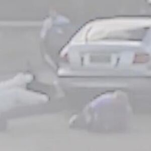 BORIS I SOFIJA SE DO SMRTI BORILI DA SPREČE MASAKR U SIDNEJU: Pojavio se snimak, ON se rvao sa NAORUŽANIM UBICOM!