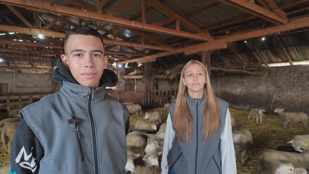 Željana i Teodor ustaju ranom zorom, gaje 500 ovaca i sve postižu - ne beže od posla: Oni su ponos svojih roditelja