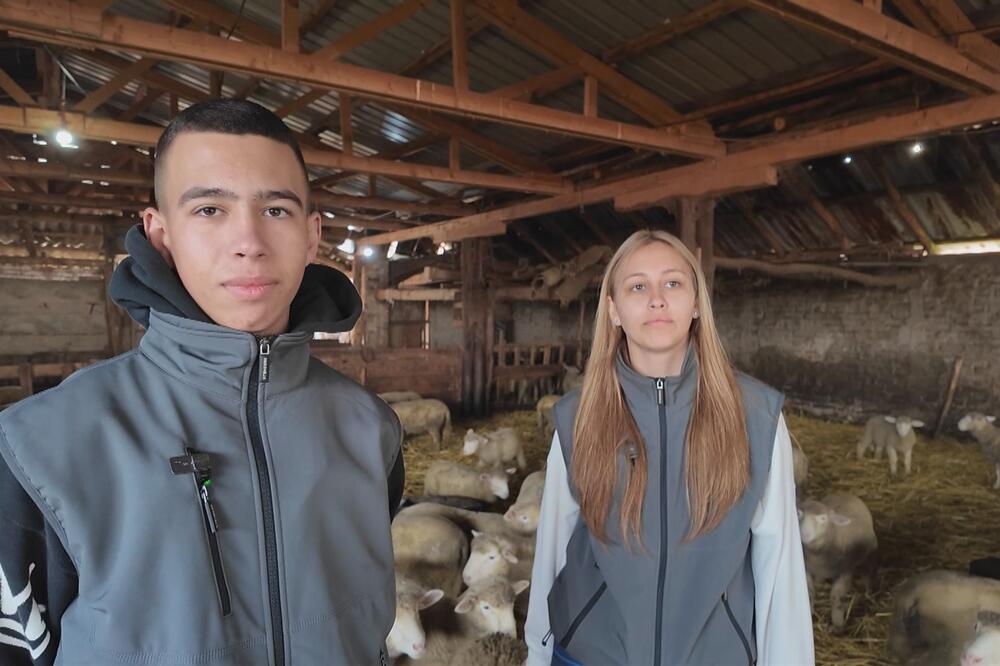 Željana i Teodor ustaju ranom zorom, gaje 500 ovaca i sve postižu - ne beže od posla: Oni su ponos svojih roditelja