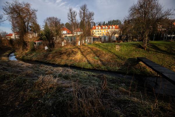 Beživotno telo devojčice (11) pronađeno pored škole, za brutalno ubistvo osumnjičena njena ŠKOLSKA DRUGARICA!