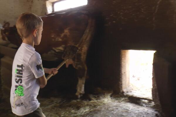 Bogdan sa dedom radi poslove na imanju - njegove ruke su male, ali spremne da pomognu: On je ponos svojih roditelja