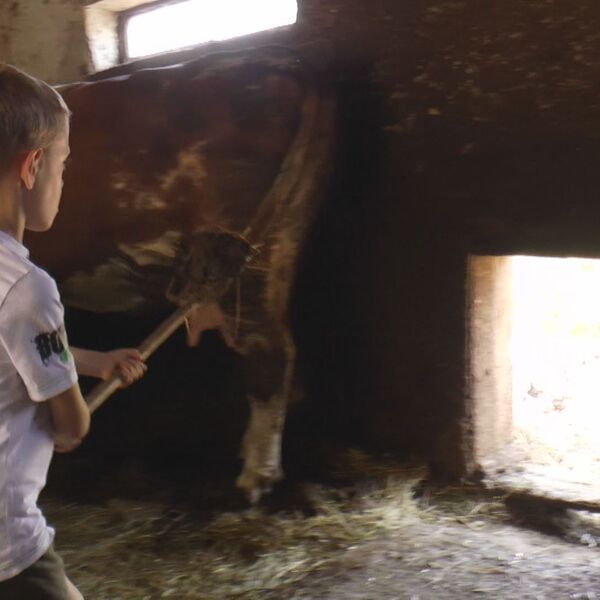 Bogdan sa dedom radi poslove na imanju - njegove ruke su male, ali spremne da pomognu: On je ponos svojih roditelja