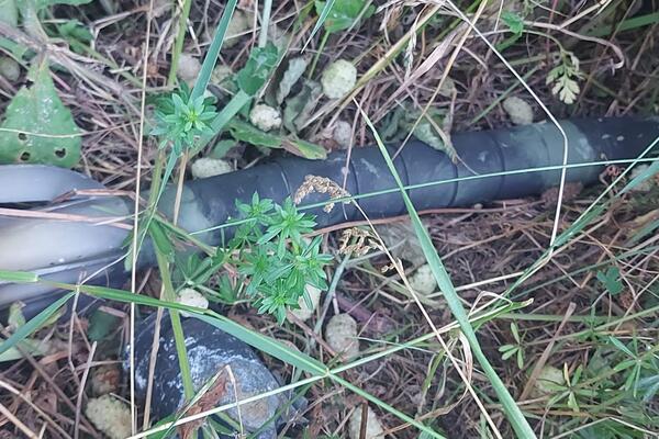 Ako vidite nešto sumnjivo odmah prijavite i nikako ne dirajte: Načelnik uputio važan apel, horor u Kosovskoj ulici!