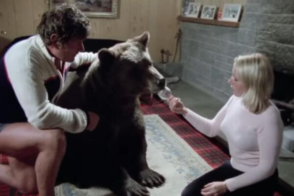 KUPILI MEDVEDA, PA GA ODGAJALI KAO SINA! Živeo sa njima u kući, a onda se desilo nešto zbog čega su LILI GORKE SUZE