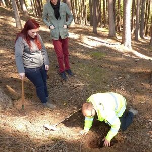 Mladić se sapleo o žicu u šumi, a onda je pao na ovo! Kad je shvato šta je našao, pobeleo je od šoka