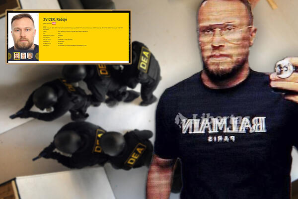 KO KRIJE ZVICERA I ZAŠTO, DA LI SU U SVE UMEŠANE SLUŽBE?! "Ako njega uhapse, moraće da ulože trud da nađu ZAMENU!"