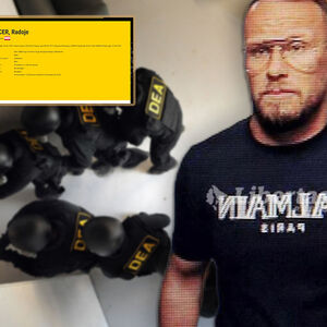 KO KRIJE ZVICERA I ZAŠTO, DA LI SU U SVE UMEŠANE SLUŽBE?! "Ako njega uhapse, moraće da ulože trud da nađu ZAMENU!"