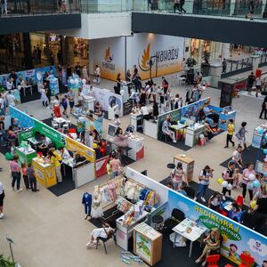 Novogodišnji Dečiji sajam u Beogradu - Solidarnost na delu: Prikupljanje humanitarnih paketića za najmlađe