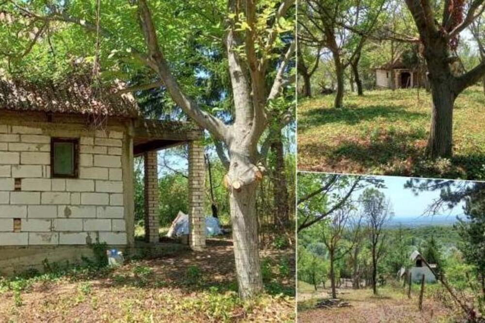 Prodaju se 2 vikendice na Fruškoj gori za top cenu: Lokacija san snova, bolja ponuda ne postoji