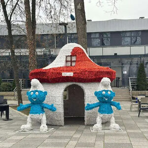 Ovaj grad u Srbiji ponovo blista za praznike: Sve je spremno za zimsku bajku na obali reke (FOTO)