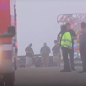 Najmanje 5 osoba poginulo u padu aviona! Prevozili dvogodišnjeg pacijenta, pa se srušili (VIDEO)