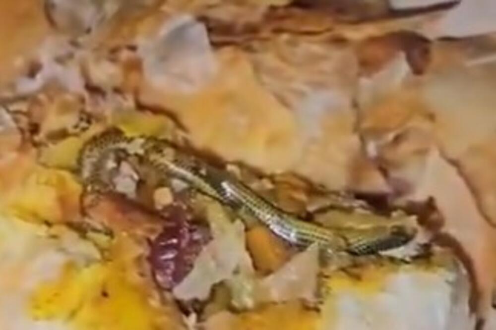NIJE ZA ONE SA SLABIM STOMAKOM! Žena pronašla ZMIJU U PECIVU IZ PEKARE, od prizora će vam POZLITI (VIDEO)