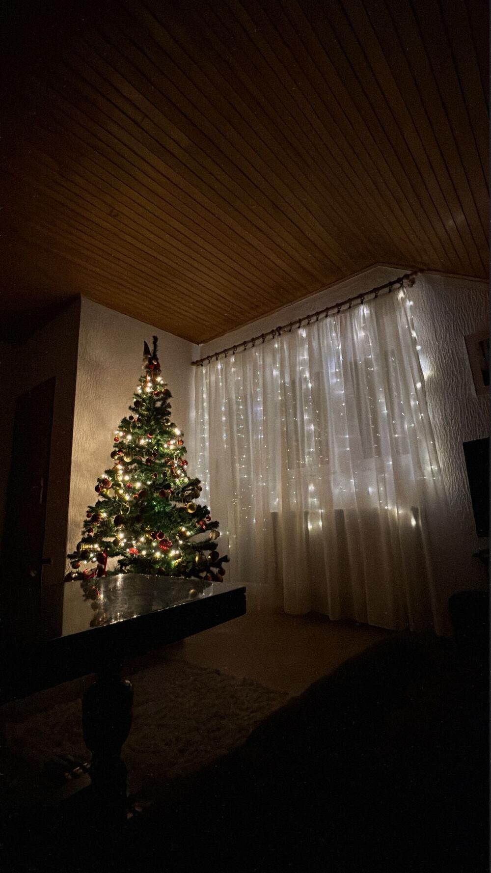 U novogodišnjoj euforiji: Ovako je Jovana Tomić okitila jelku! FOTO