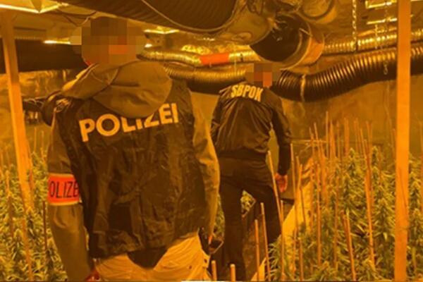 TONE DROGE, BESNA KOLA I SATOVI! Grupa iz Srbije uspela godinama da drži narko-biznis u Evropi RAZRAĐENOM ŠEMOM