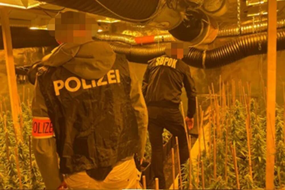 TONE DROGE, BESNA KOLA I SATOVI! Grupa iz Srbije uspela godinama da drži narko-biznis u Evropi RAZRAĐENOM ŠEMOM