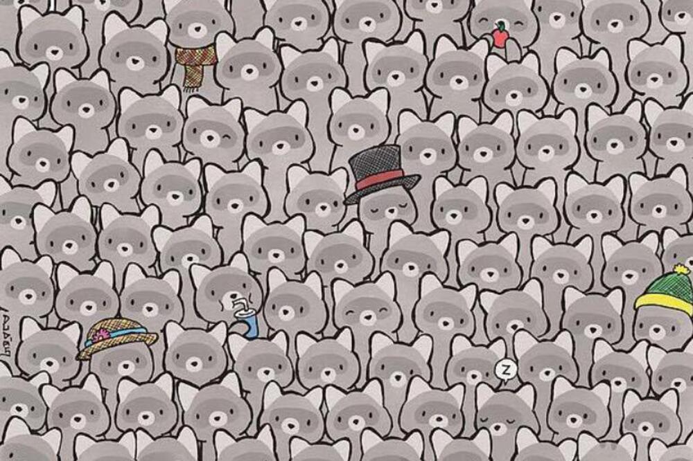 Ova optička iluzija od 5 sekundi zaludela je internet: Samo pravi genijalci mogu da nađu mačku među rakunima!