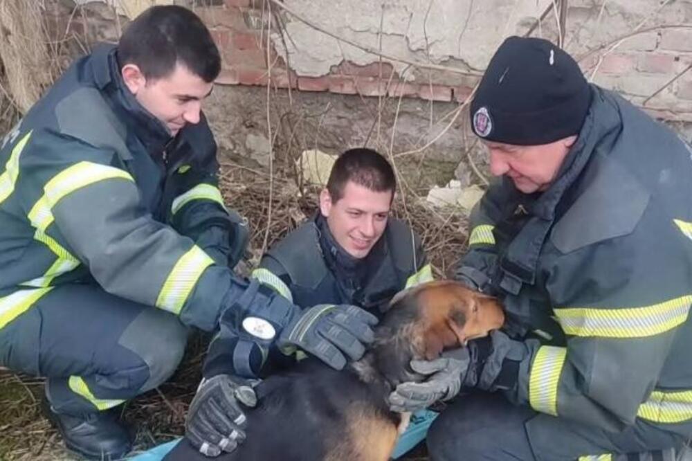 HEROJSKA AKCIJA U LESKOVCU: Vatrogasci spasili psa iz duboke šahte - KAPA DOLE ZA OVE LJUDE (FOTO)