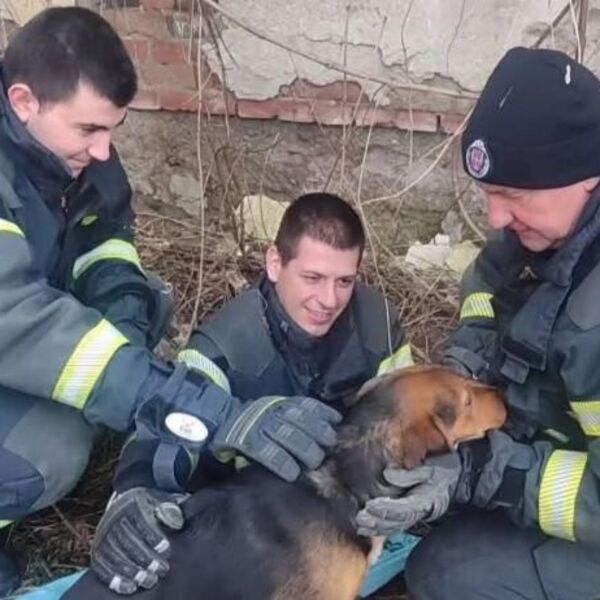 HEROJSKA AKCIJA U LESKOVCU: Vatrogasci spasili psa iz duboke šahte - KAPA DOLE ZA OVE LJUDE (FOTO)