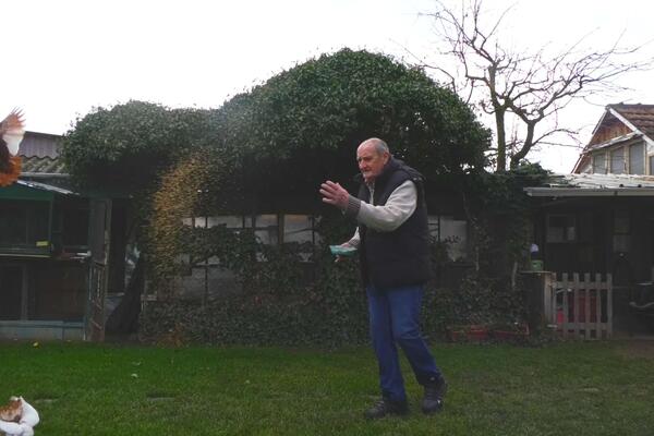 Pernato carstvo u čačanskom naselju: Milan ima desetine ptica u svom domaćinstvu, među njima i egzotične vrste