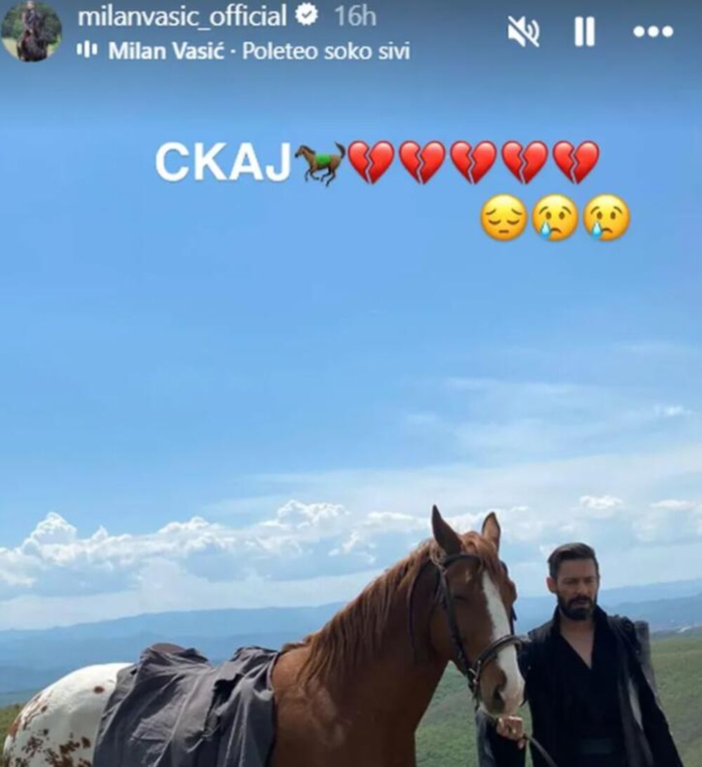Milanu Vasiću uginuo konj