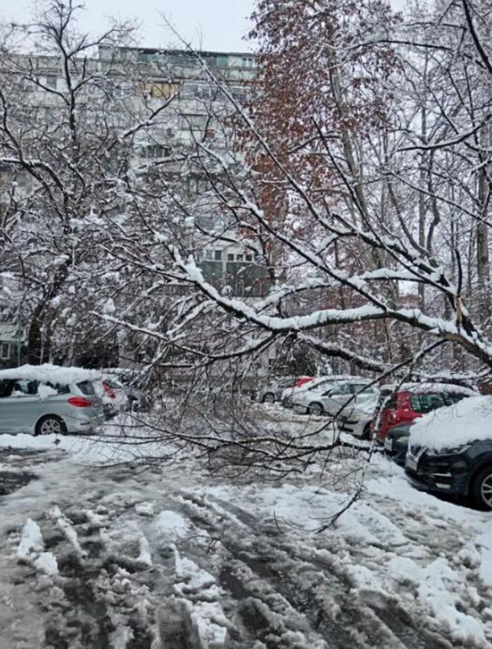 Ledenice sa zgrade mogu oštetiti vozila