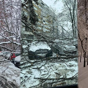 SNEG NAPRAVIO OGROMNU ŠTETU STANARIMA KOD FONTANE: Grane se obrušile na parkirana vozila, OVO JE STRAŠNO! (FOTO)
