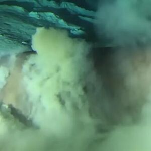 IZ PESKA ISKOČILE OGROMNE ČELJUSTI, LJUDI PRESTRAVLJENI Usnimljeno je JEZIVO STVORENJE: Ovo je DUBOKO ZASTRAŠUJUĆE!