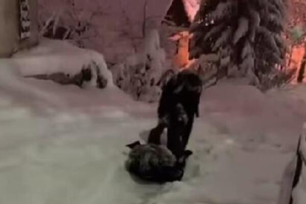 KAKO BOSANAC SPUŠTA TRUDNICU NIZ ZAVEJANO BRDO? Snimak iz Sarajeva nasmejao region - PAROLA, SNAĐI SE! (VIDEO)