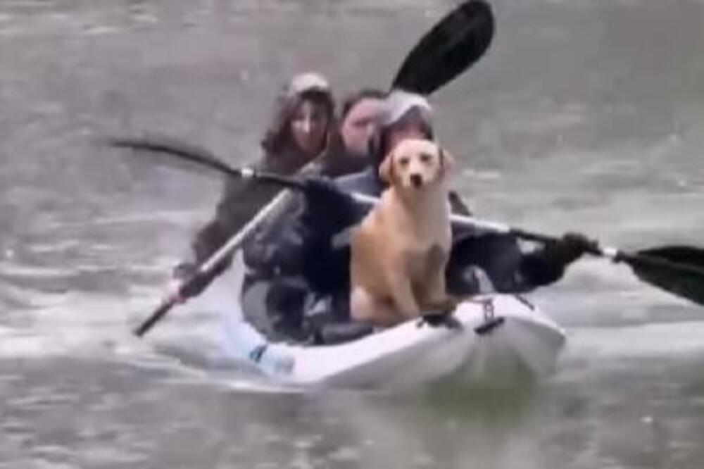 "DA JE MADURO IMAO OVAKAV TIM SPECIJALACA, NE BI BIO UHAPŠEN" Snimak iz Nikšića vraća veru u ČOVEČANSTVO (VIDEO)