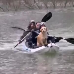 "DA JE MADURO IMAO OVAKAV TIM SPECIJALACA, NE BI BIO UHAPŠEN" Snimak iz Nikšića vraća veru u ČOVEČANSTVO (VIDEO)