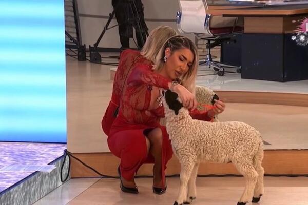 JOVANA NE ODUSTAJE! Rešila da rodi TIGRU male TIGRIĆE i to više komada - Dragan PEKAR nije hteo decu, a BOKSER...