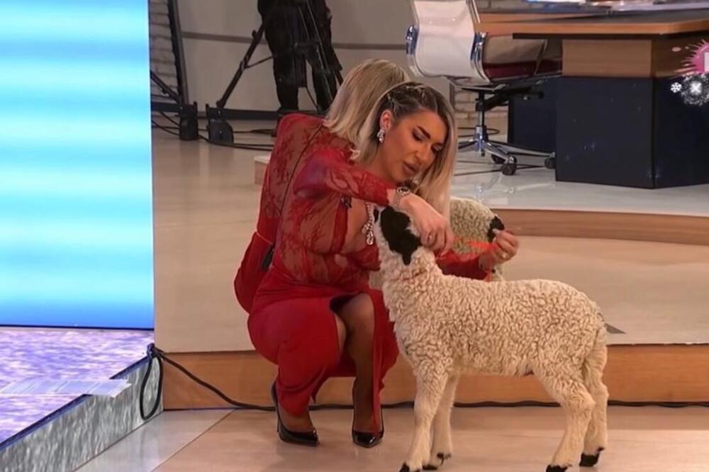 JOVANA NE ODUSTAJE! Rešila da rodi TIGRU male TIGRIĆE i to više komada - Dragan PEKAR nije hteo decu, a BOKSER...