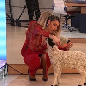 JOVANA NE ODUSTAJE! Rešila da rodi TIGRU male TIGRIĆE i to više komada - Dragan PEKAR nije hteo decu, a BOKSER...