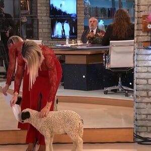 JOVANA ŠOKIRALA NACIJU ČAK I ZA BOŽIĆ! Pogledajte koga je DOVELA u studio - pa ovo samo kod SRBA IMA