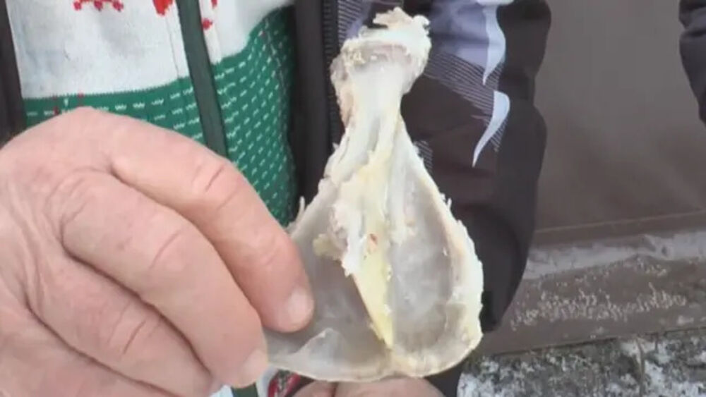 Stari običaj čuva se na Suvoboru 