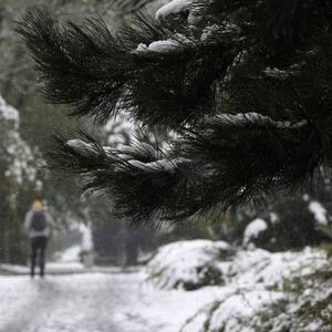U ovim mestima u Srbiji od jutros je izmereno minus 17: Zemlja u debelom minusu, upaljen crveni meteoalarm