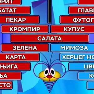 OVAKAV PREOKRET NIJE ODAVNO VIĐEN U "SLAGALICI": Danica je gubila sa 43 poena razlike, a onda je uradila ovo