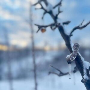 Sneg pada u ovim srpskim gradovima, ledena masa juri ka nama: Međutim, sledi nam totalni temperaturni šok, evo kada