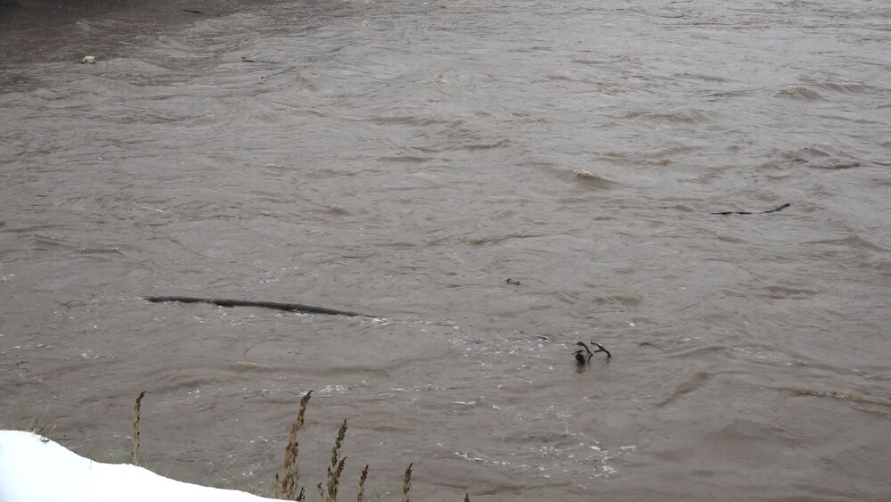 Ove tri reke u Crnoj Gori su pod budnim okom nadležnih