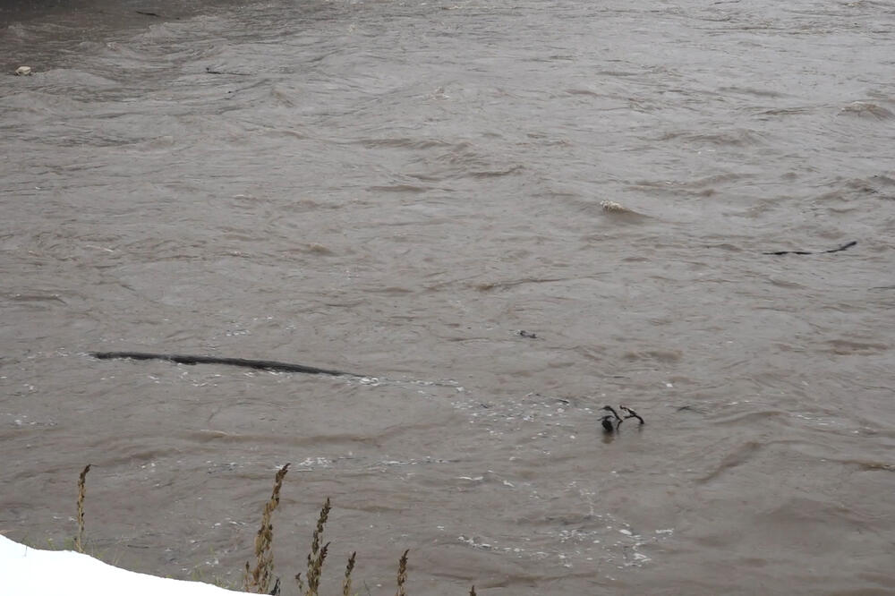 Ove tri reke u Crnoj Gori su pod budnim okom nadležnih: Posebno se prati nivo jedne!