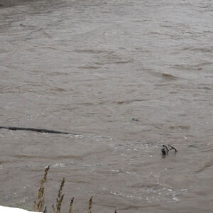 Ove tri reke u Crnoj Gori su pod budnim okom nadležnih: Posebno se prati nivo jedne!