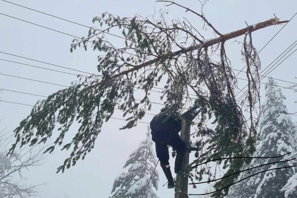 RTS JAVLJA: Nove informacije u vezi sa strujom!