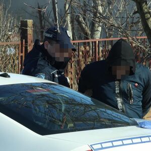 Uhapšen vozač iz Sjenice: Pokosio majku i dvoje dece na trotoaru!