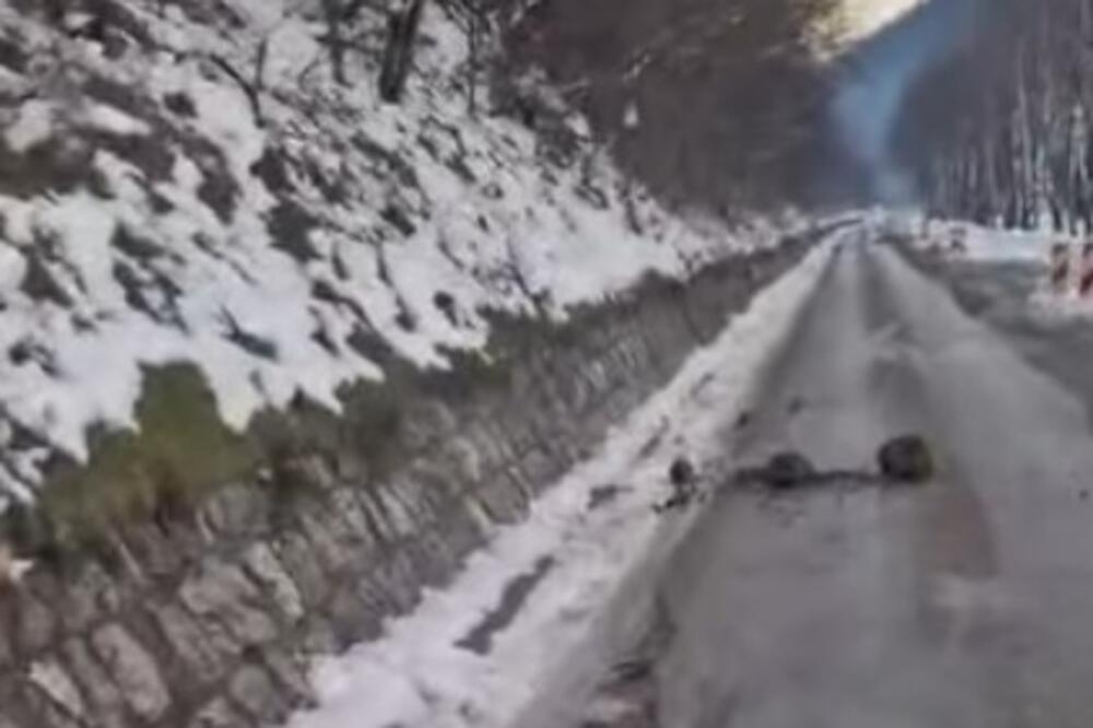 VOZAČ IZ PRIJEPOLJA ODUŠEVIO CELU SRBIJU: Stao nasred puta, pa usledio šok! (VIDEO)